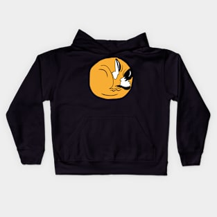 Sleeping Fox Kids Hoodie